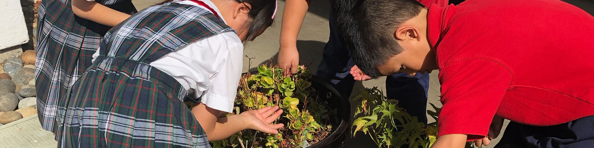 Pre-Kindergarten (K4)